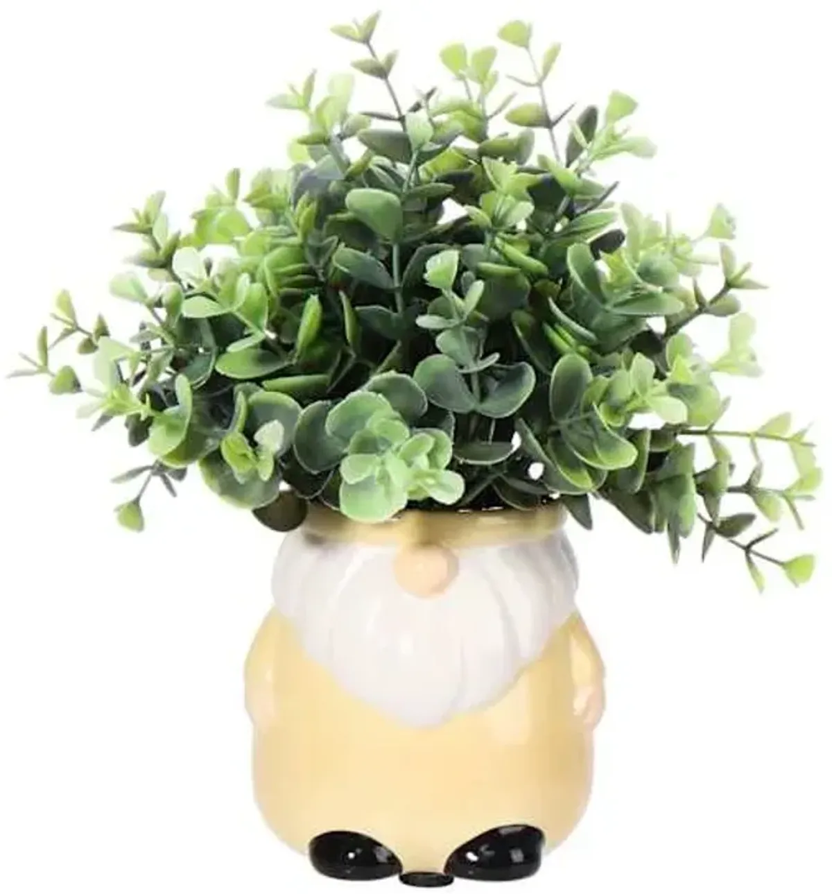 Eucalyptus in Yellow Gnome Pot