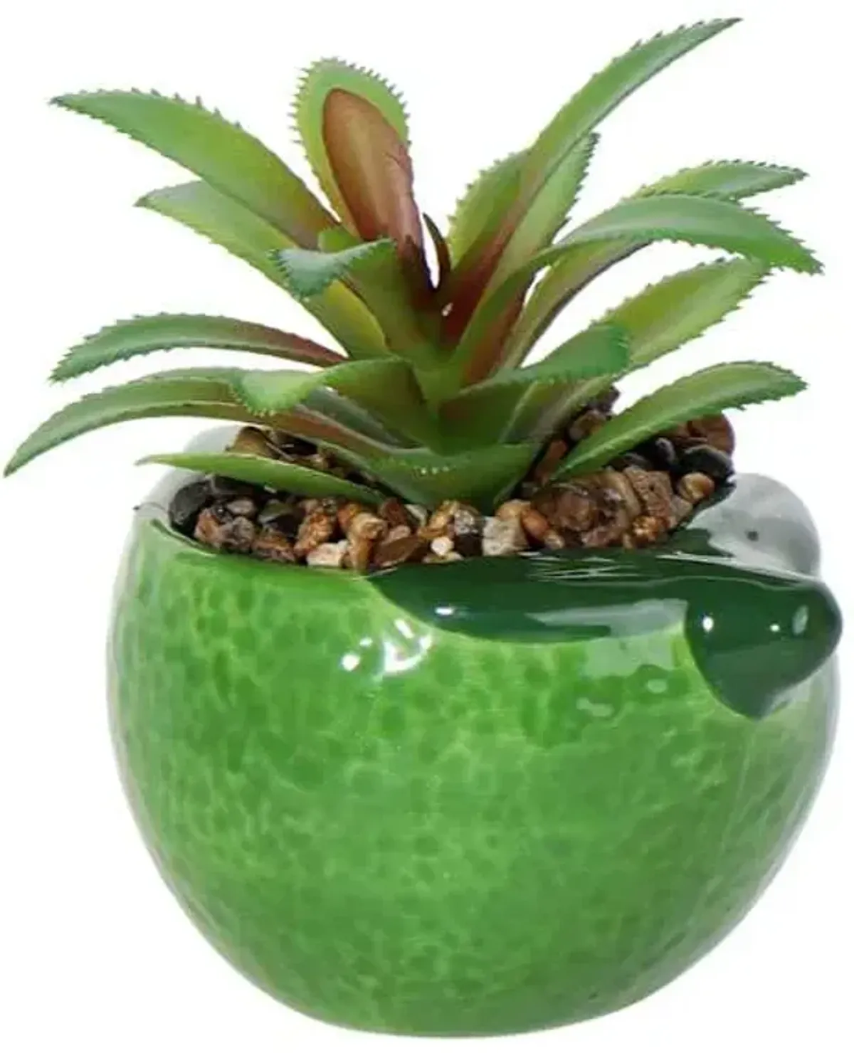 Mini Succulent in Green Lime Vase