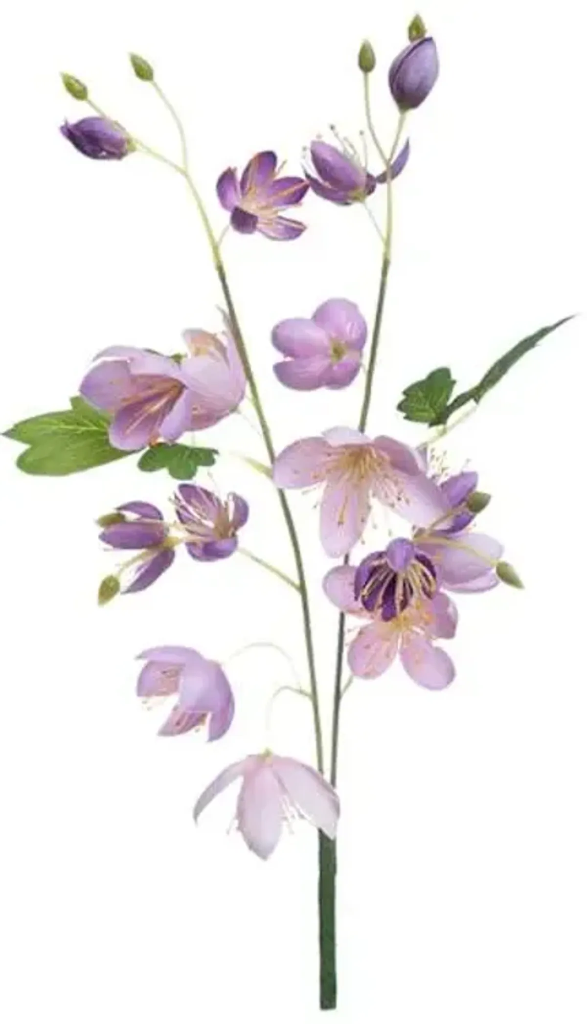 Purple Columbine Pick, 12"