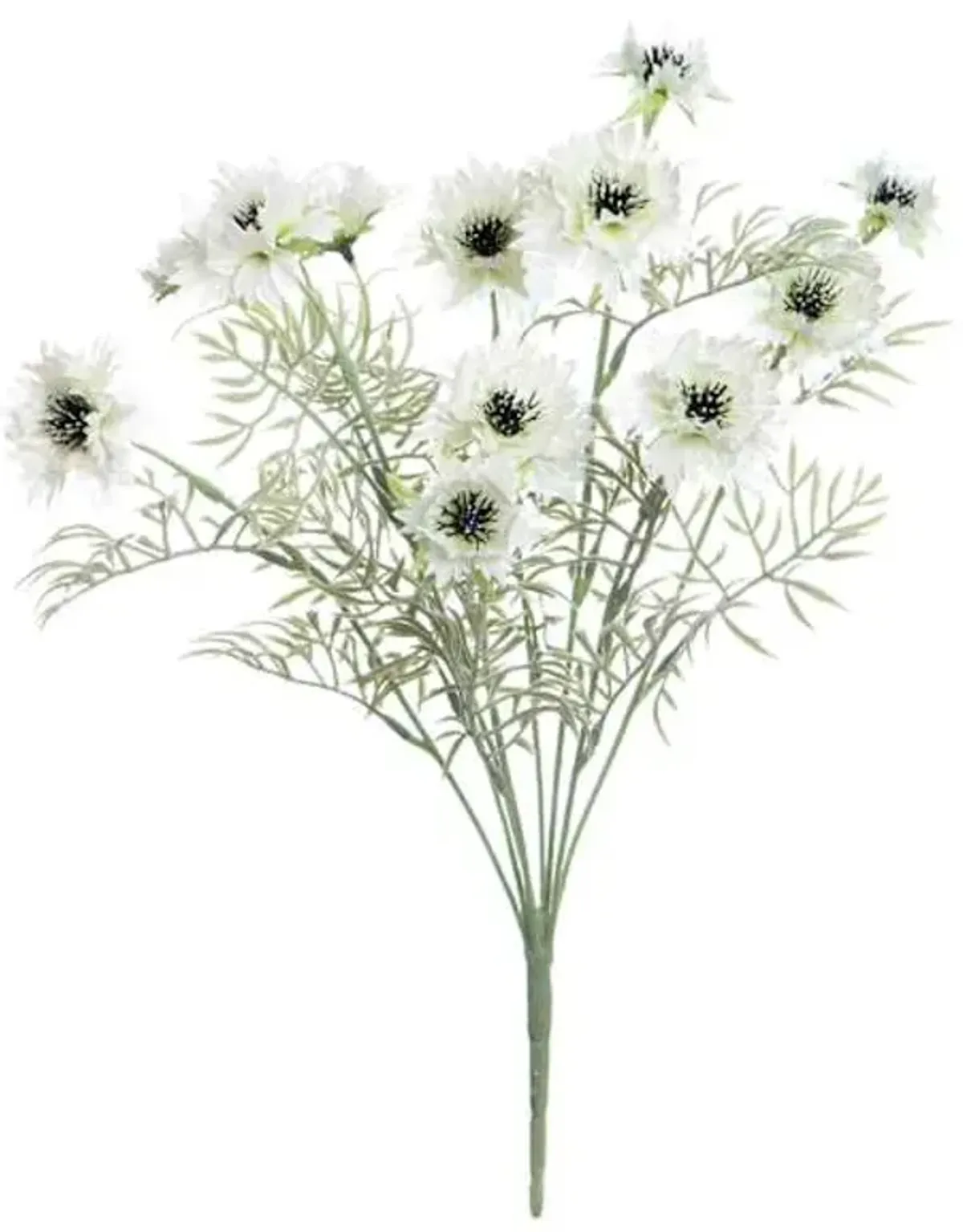 White Cornflower Bush, 19"