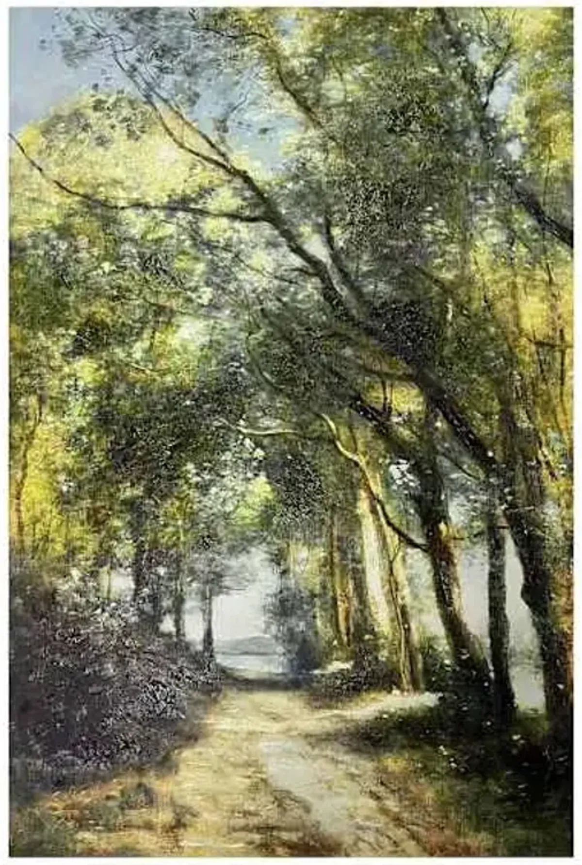 A Lane Through The Trees Canvas Wall Art, 24x36