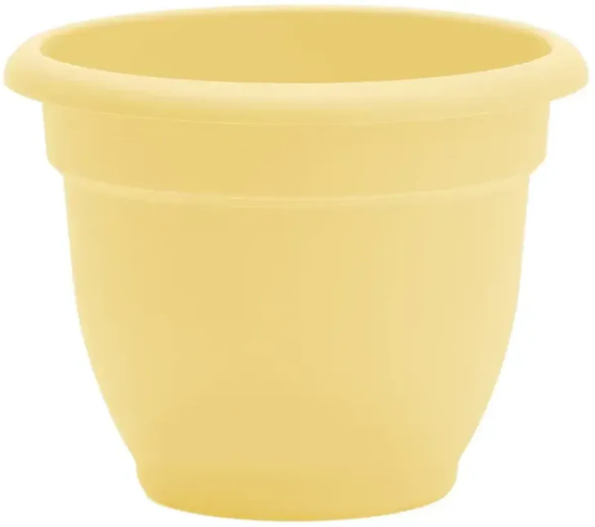 Ariana Daffodil Planter, 6"