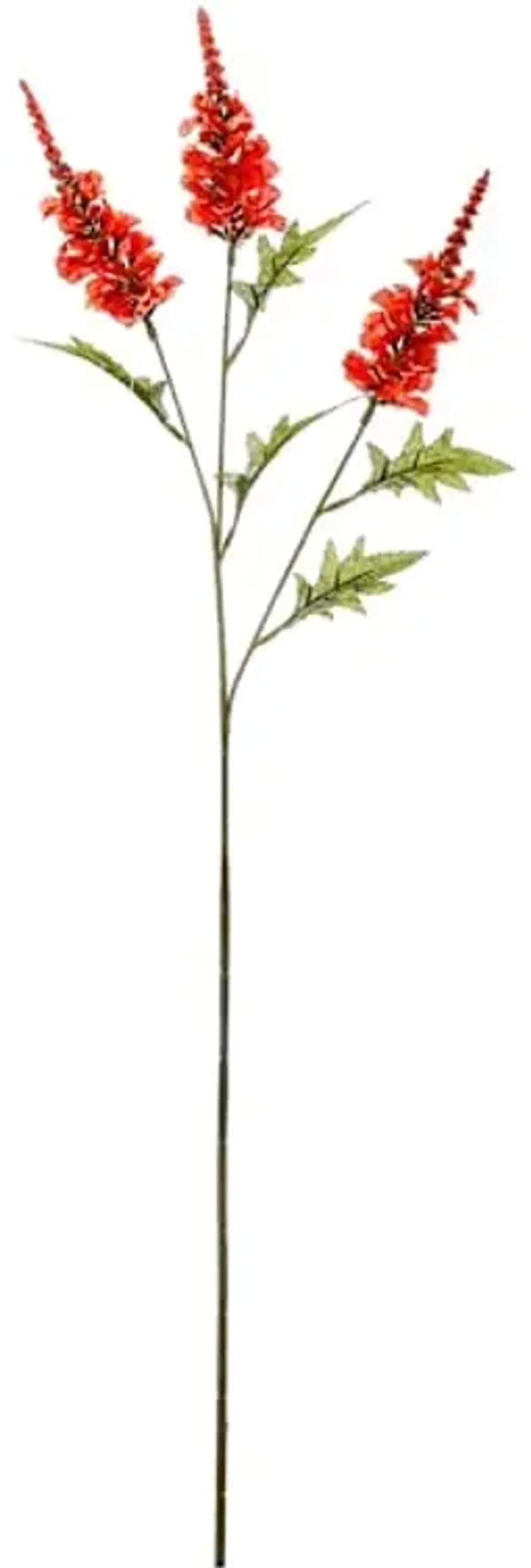 Rust Red Snapdragon Stem, 38"