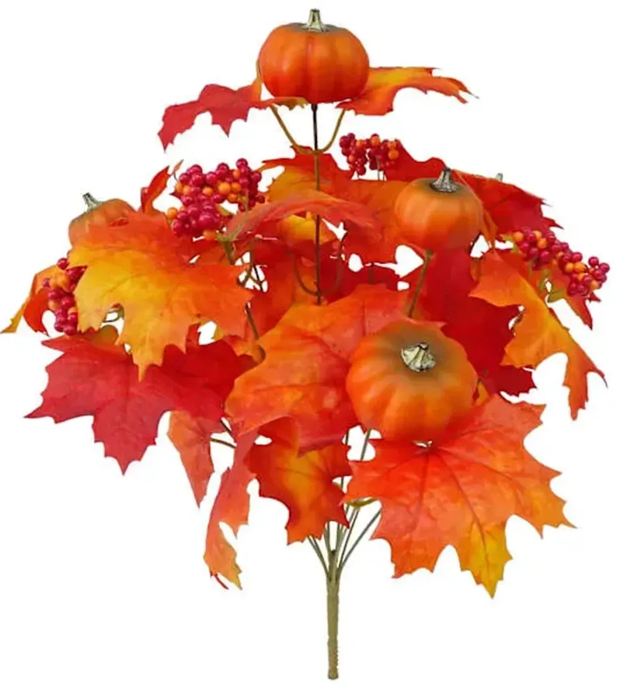 Maple & Pumpkin Mix Bush