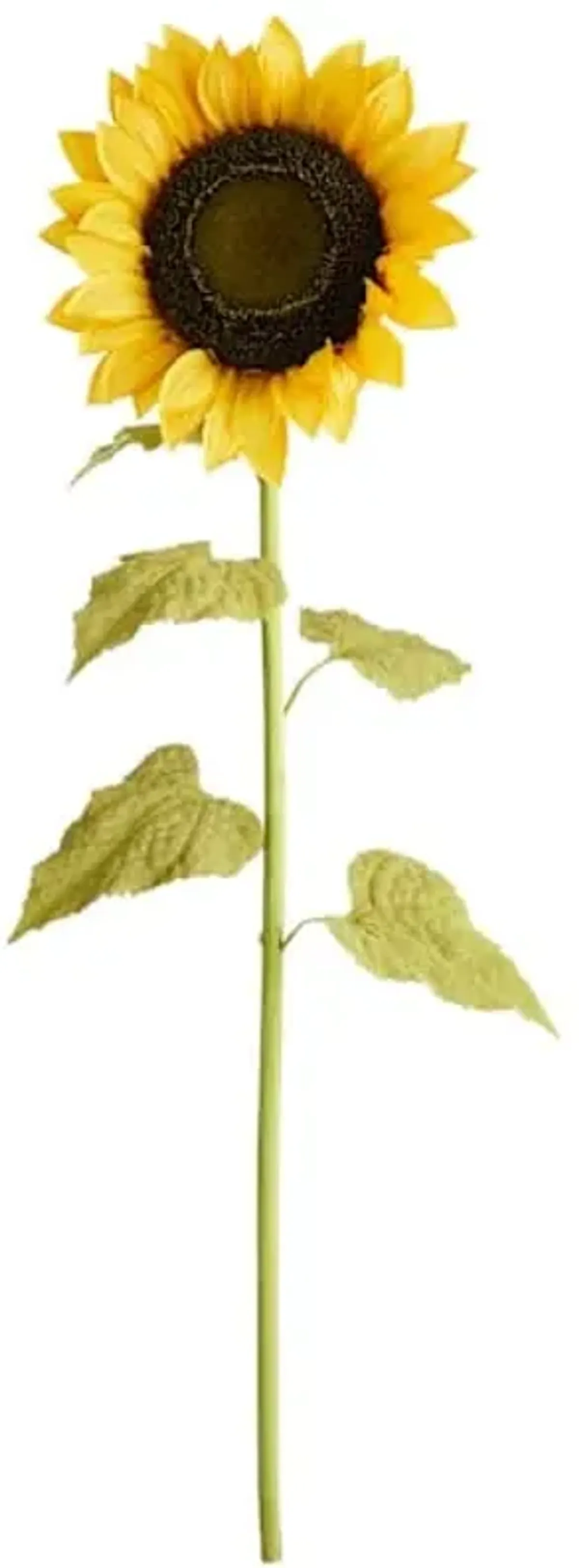 Yellow Oversized Sunflower Stem, 49"
