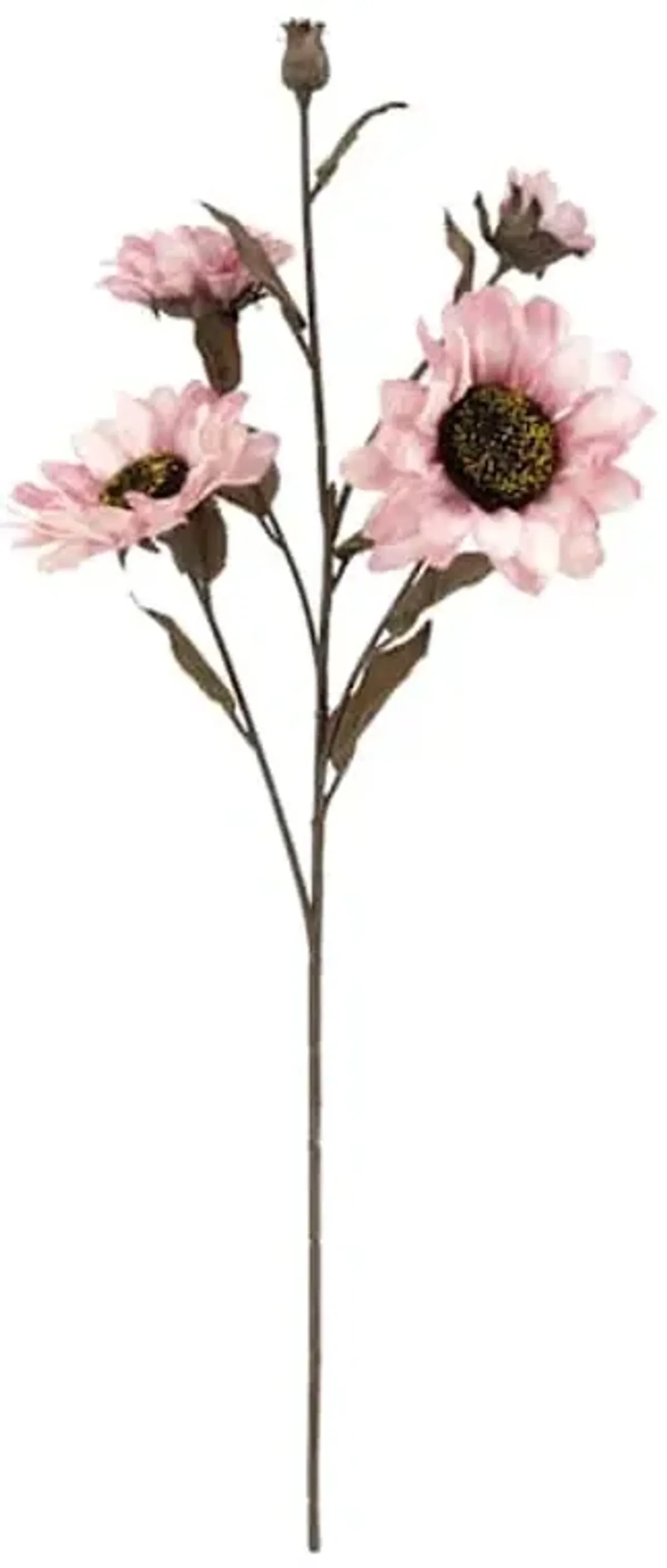 Pink Sunflower Stem, 25"