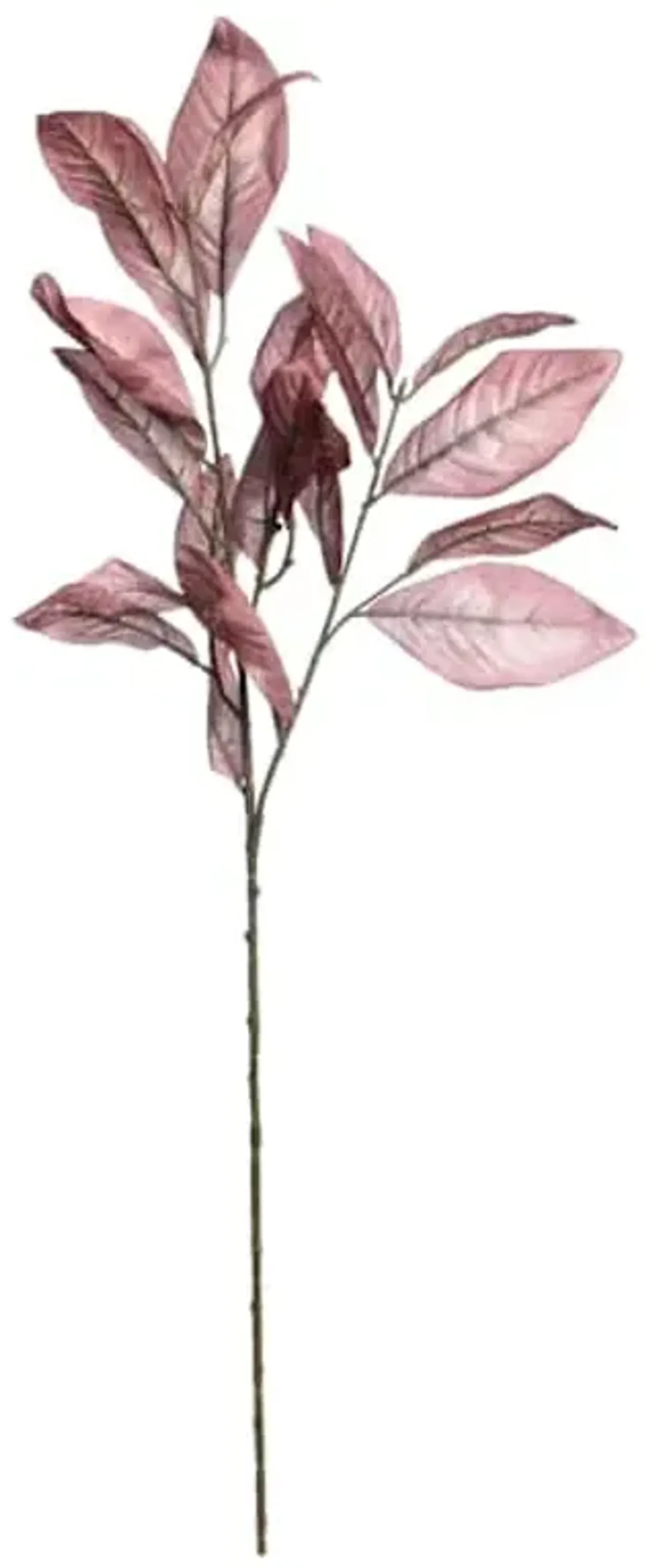 Red Magnolia Leaf Spray, 36"