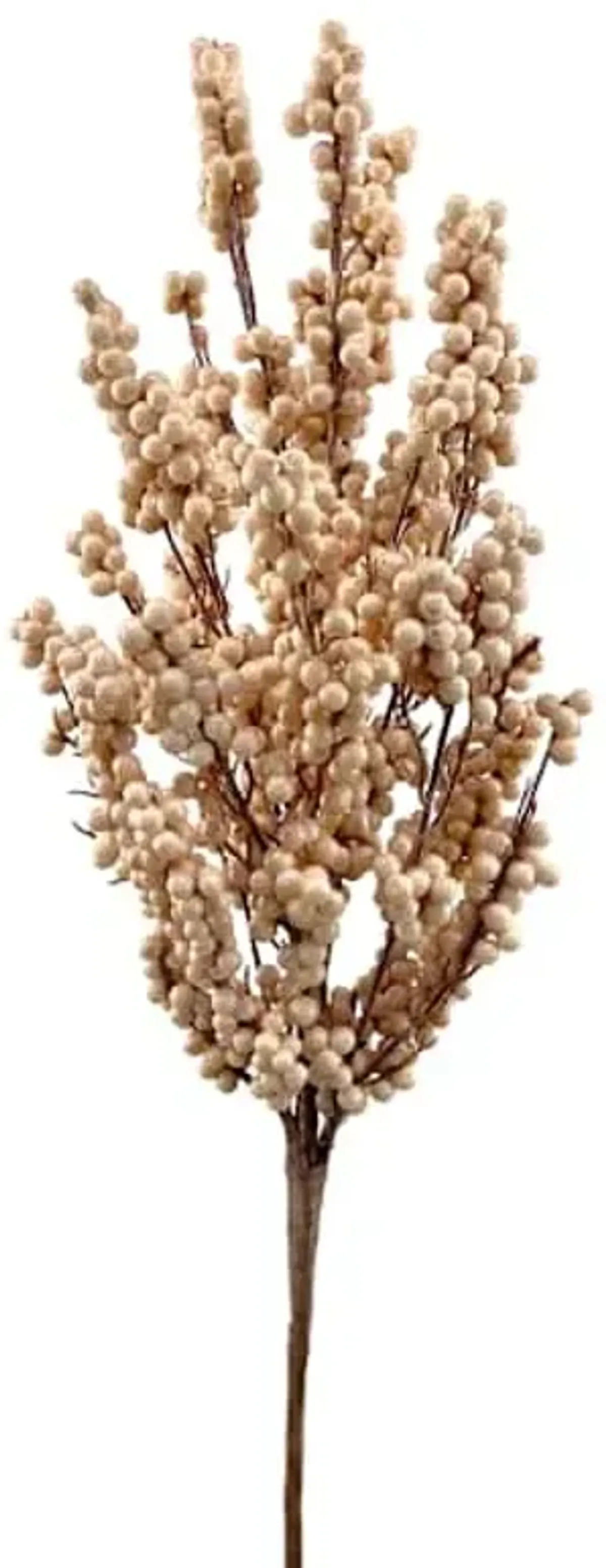 Cream Berries Bush, 20"