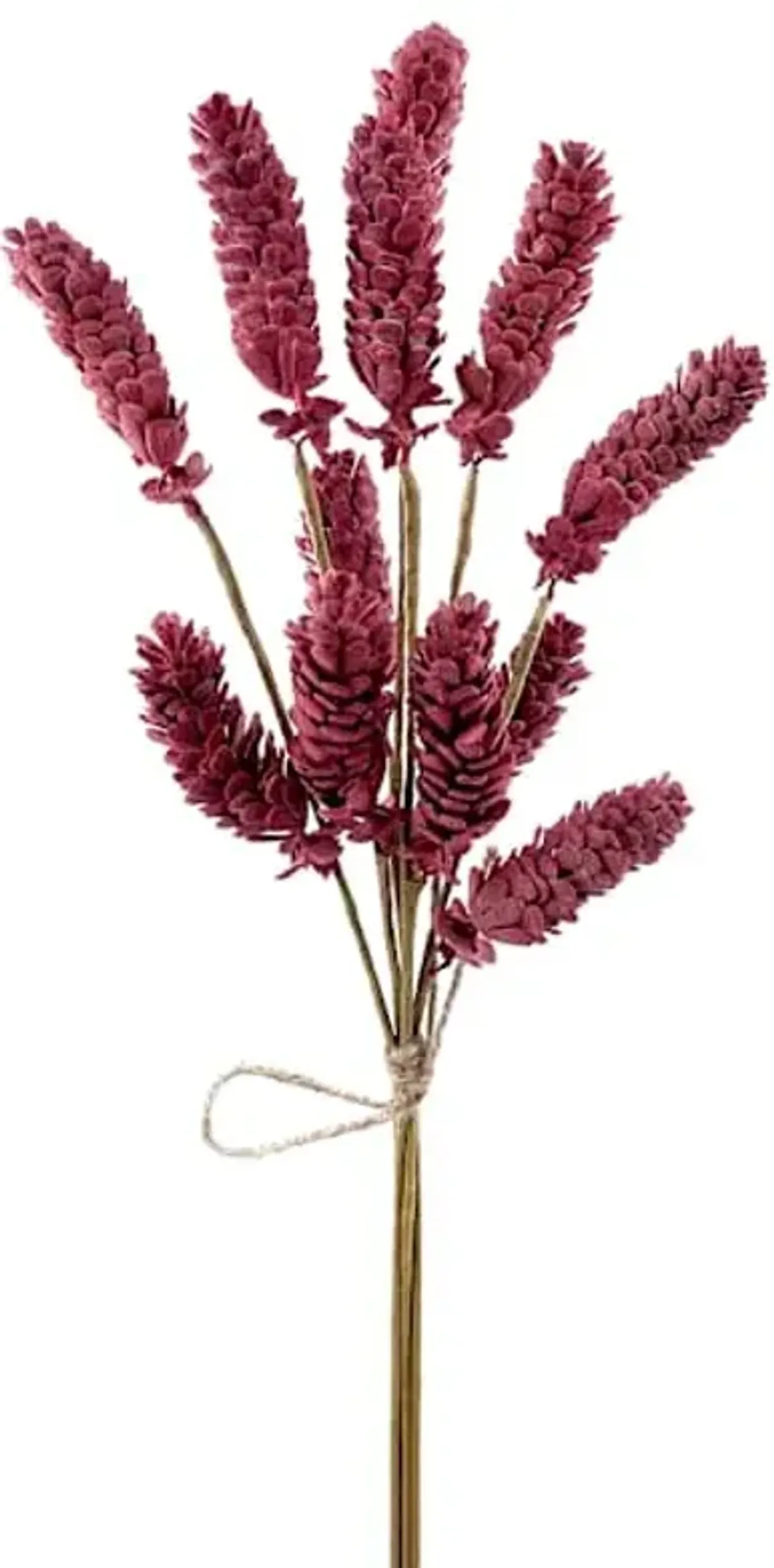 Brown Pinecone Bush, 20"