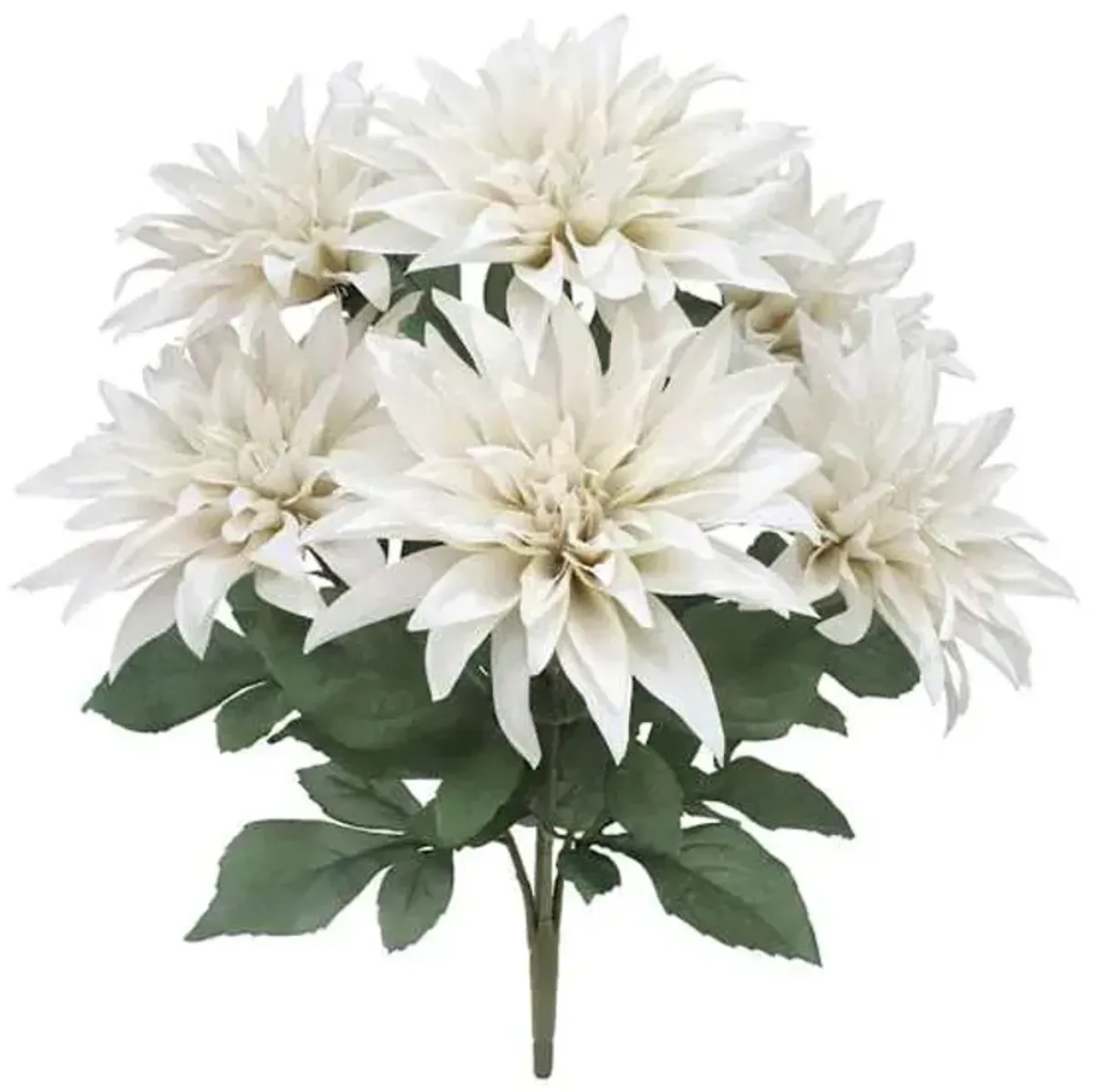White Dahlia Bush, 18"