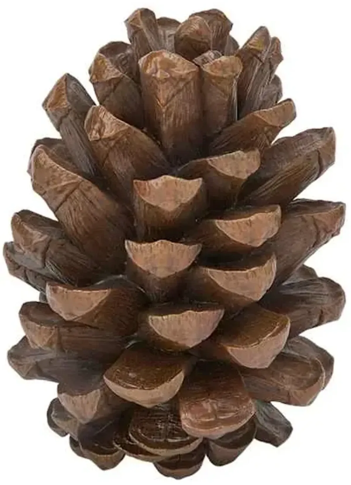 Oversized Pinecone, 10.3"