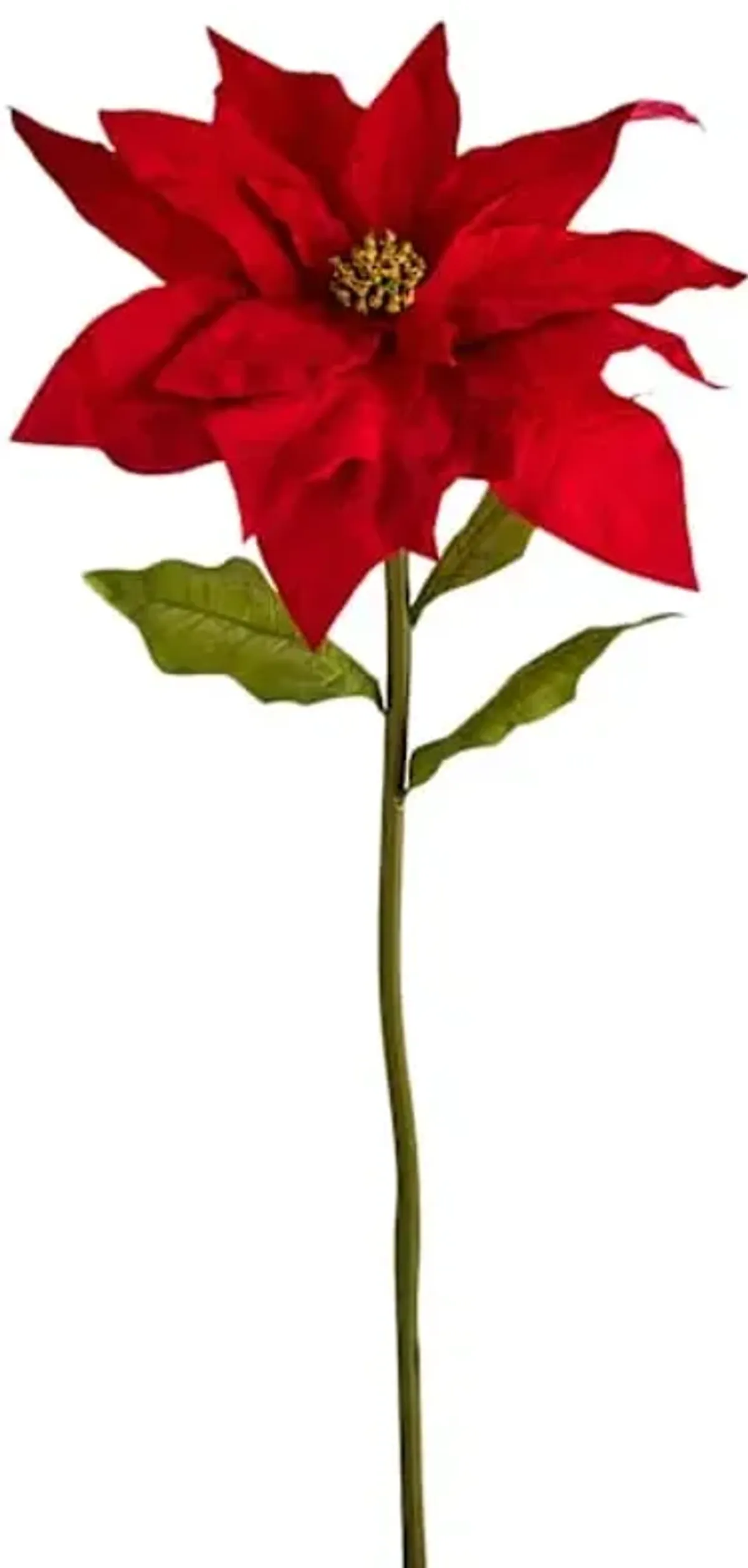 Red Poinsettia Stem, 54"