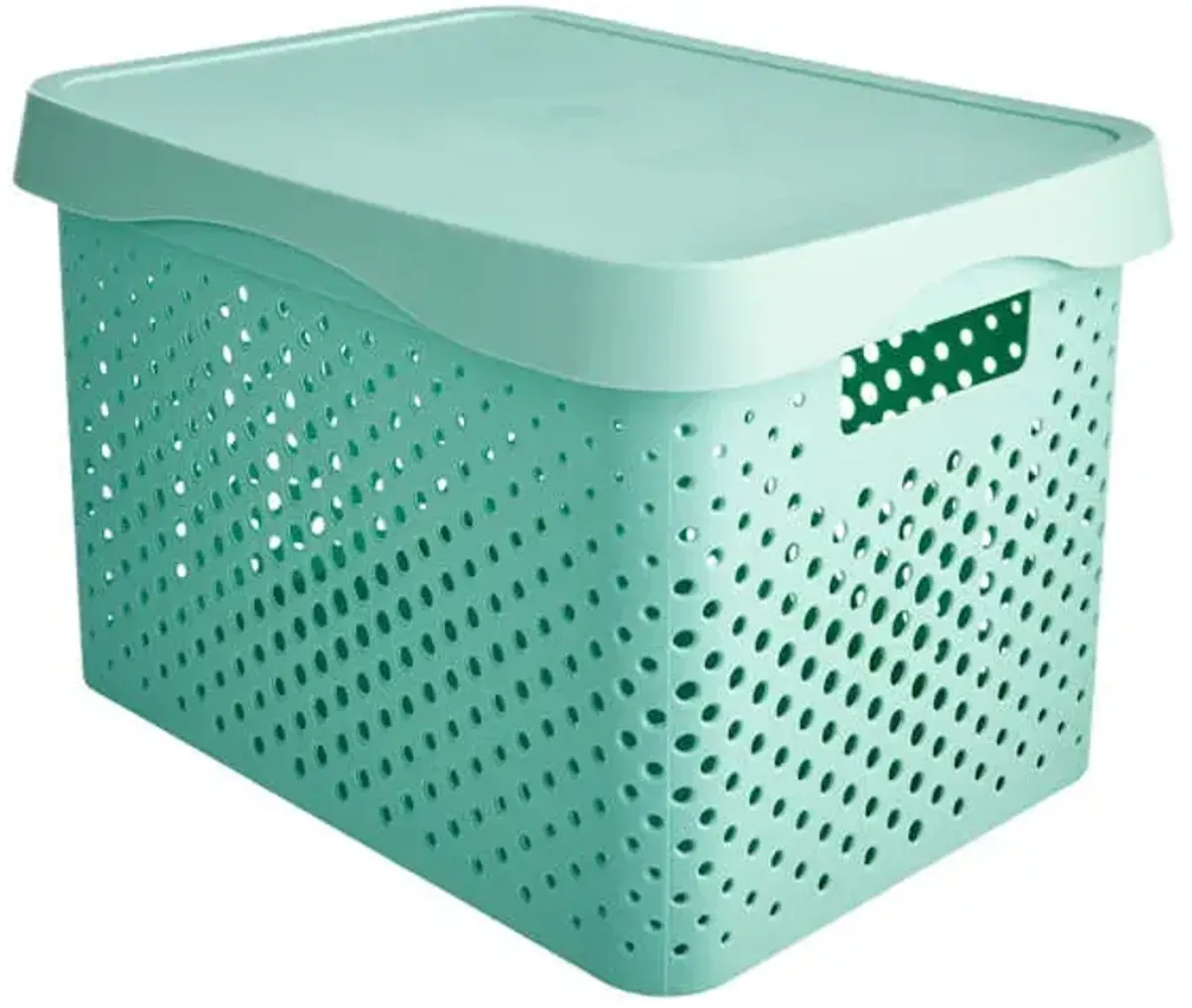 Green Storage Bin with Lid, Large