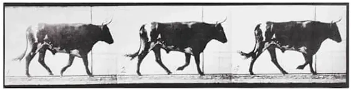 Walking Ox Table Art, 16x4