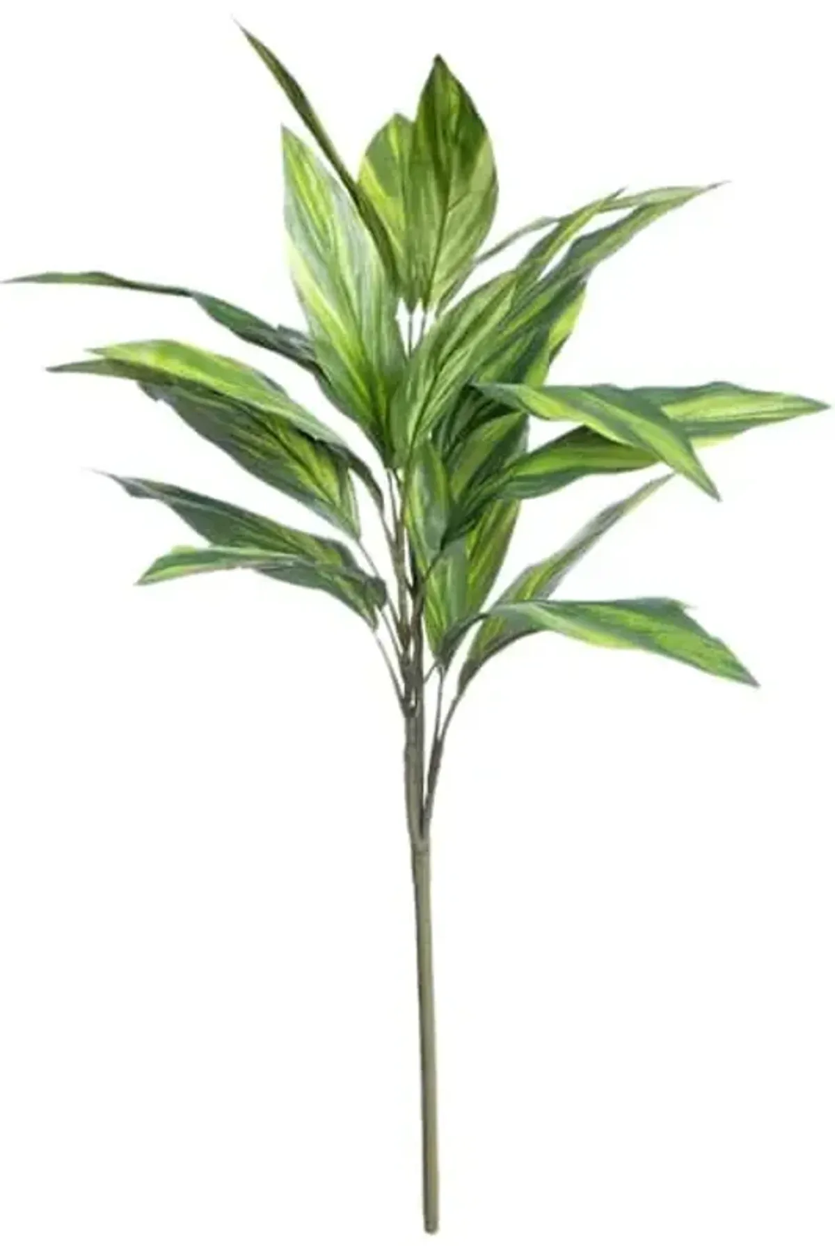 Green Dracaena Floral Spray, 38"