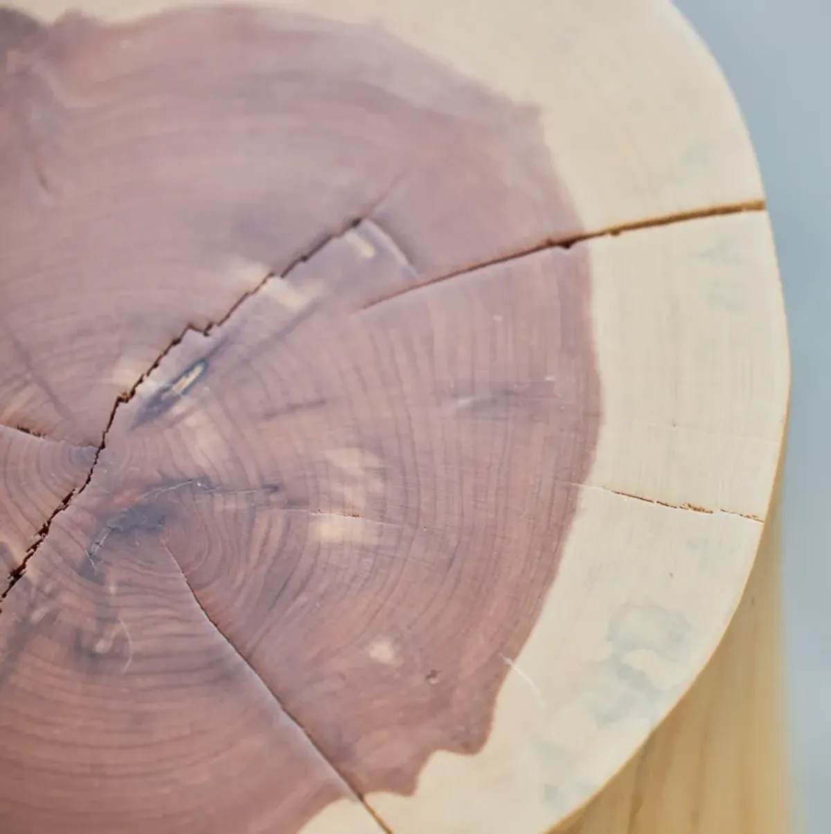 Cedar Stump Side Table