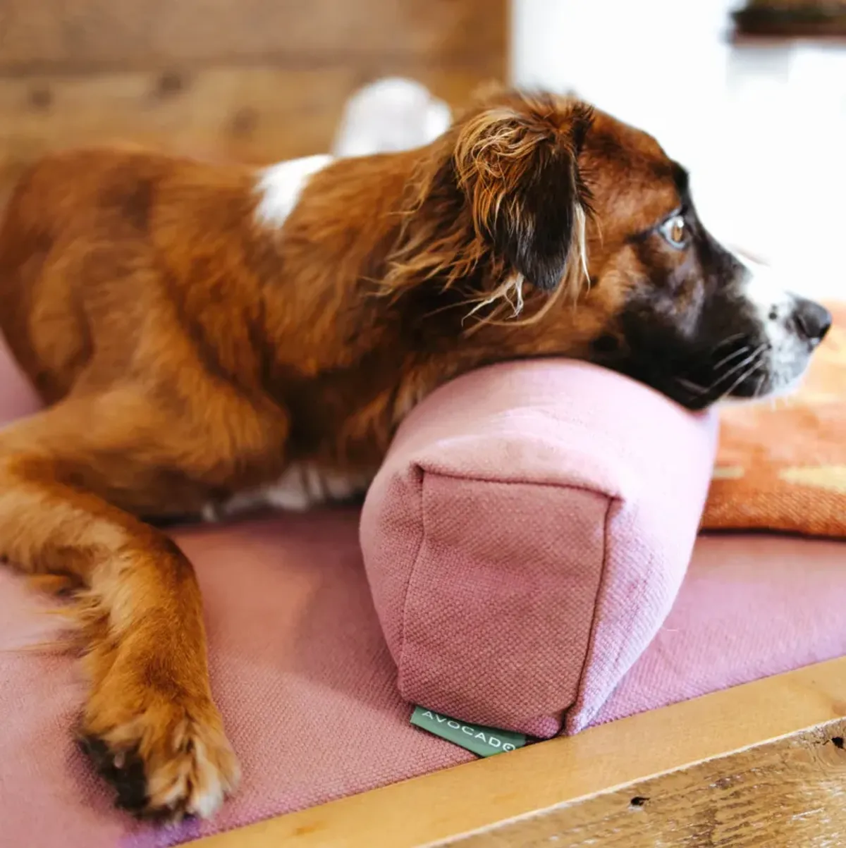 Organic Dog Pillow Bolster