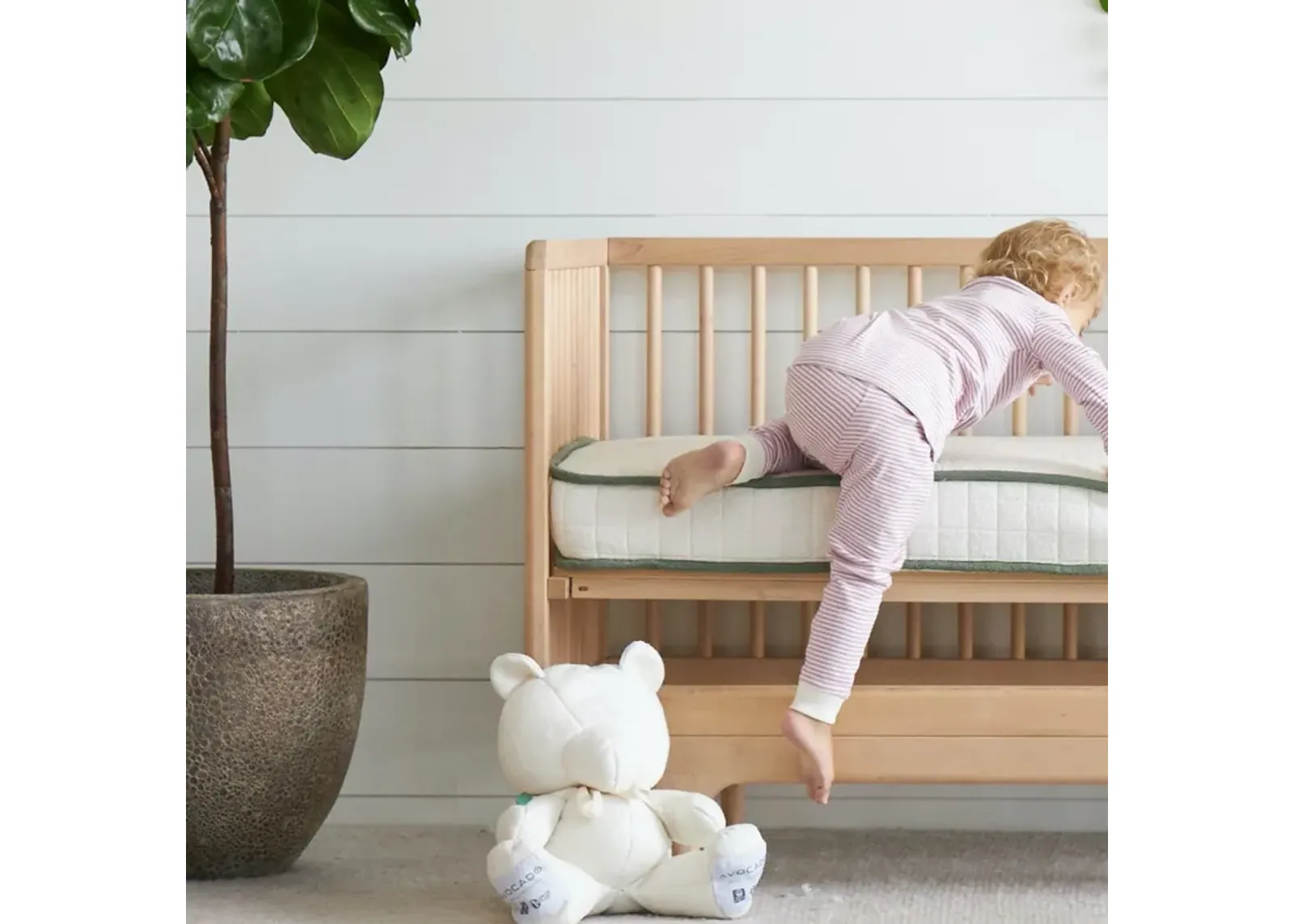 Organic Crib Mattress