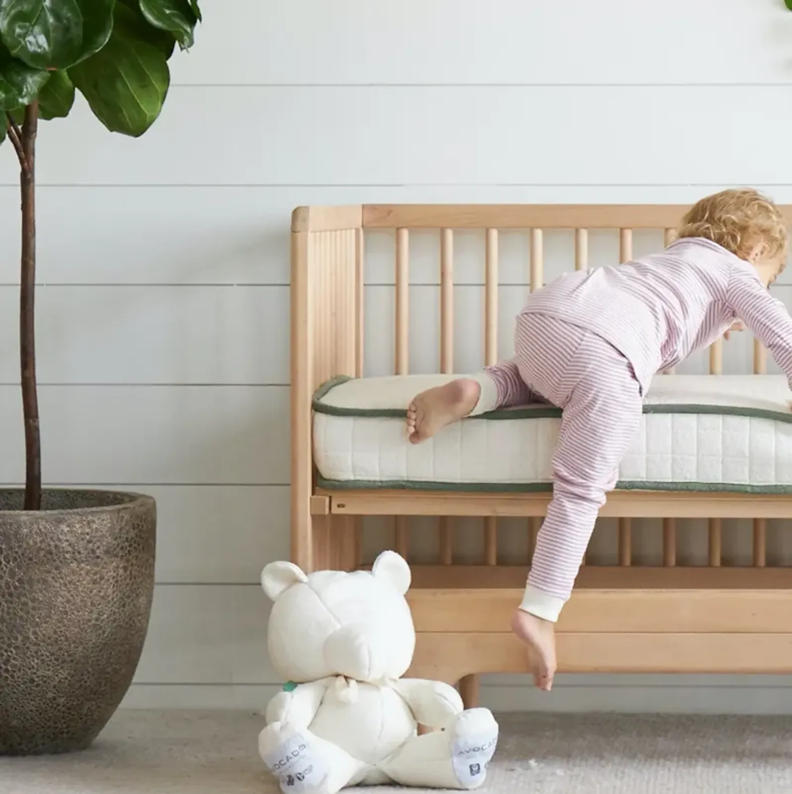 Organic Crib Mattress