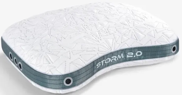 Storm Cuddle Curve Performance® Pillow