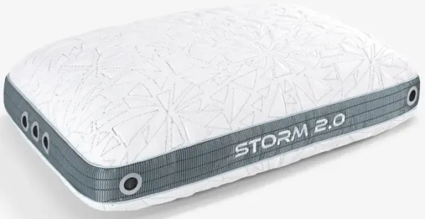 Storm Performance® Pillow