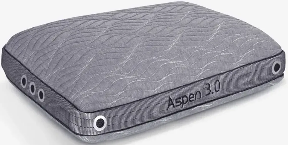 Aspen Performance® Pillow