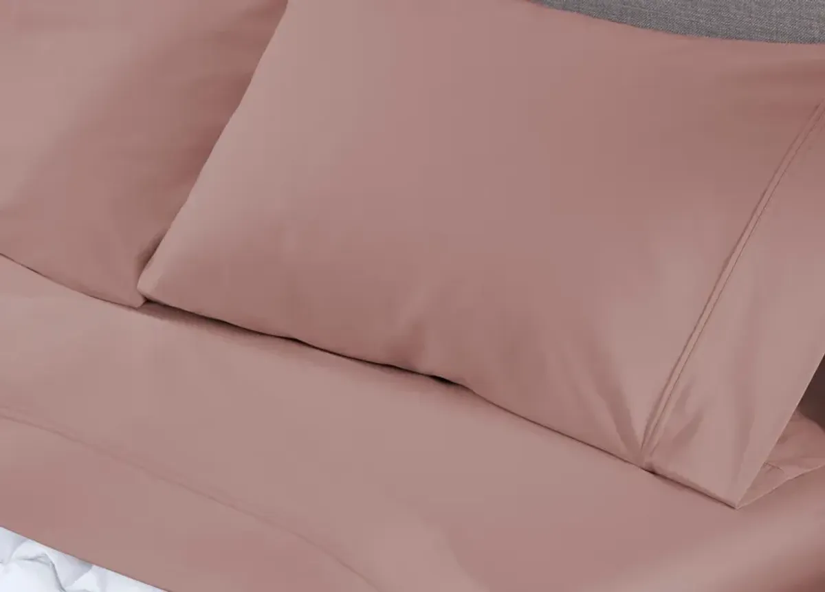 Basic Sheet Set