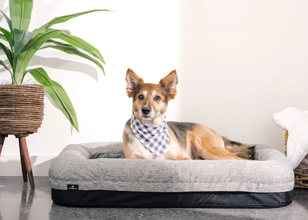 Performance® Dog Bed 