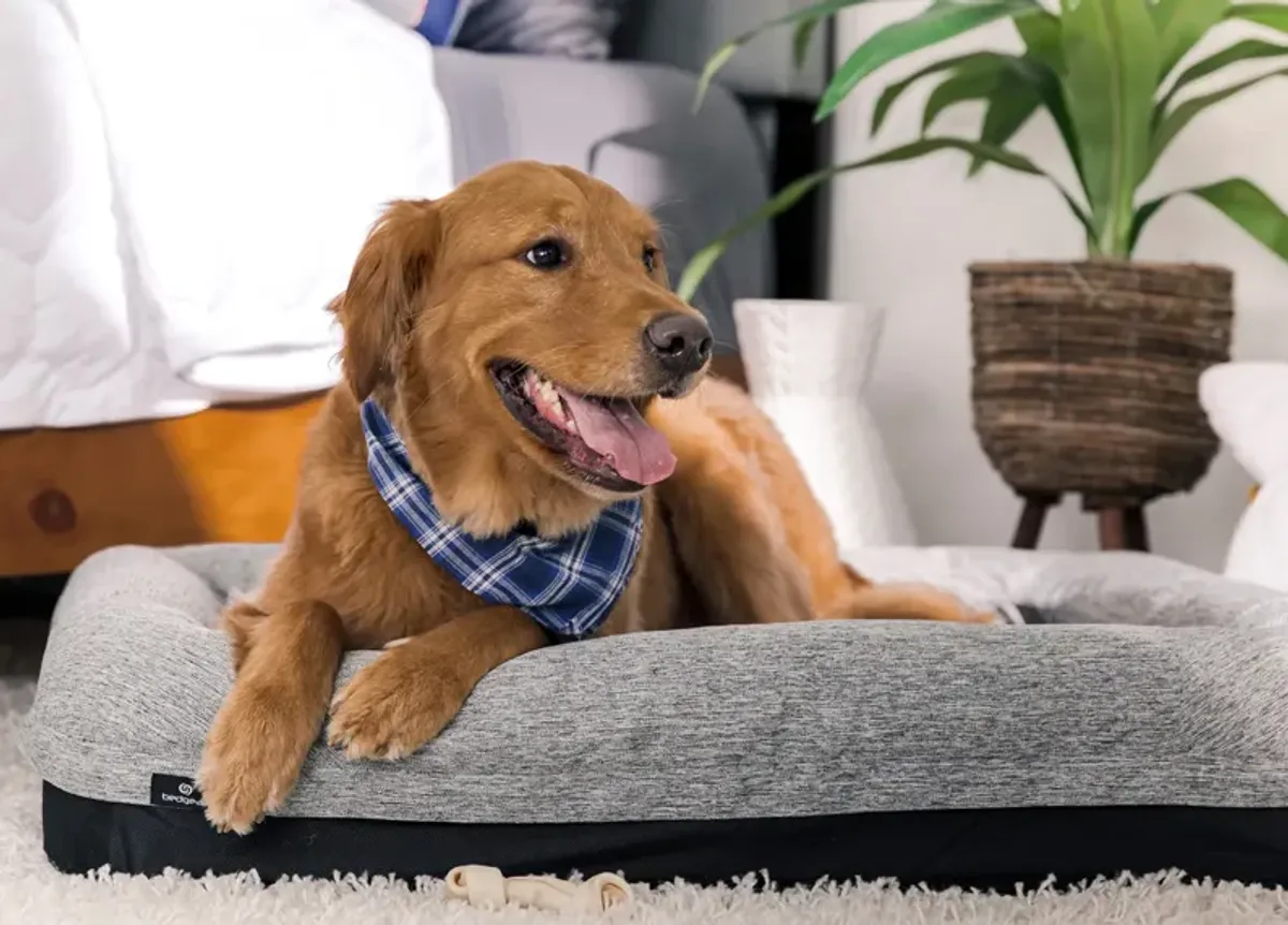 Performance® Dog Bed 