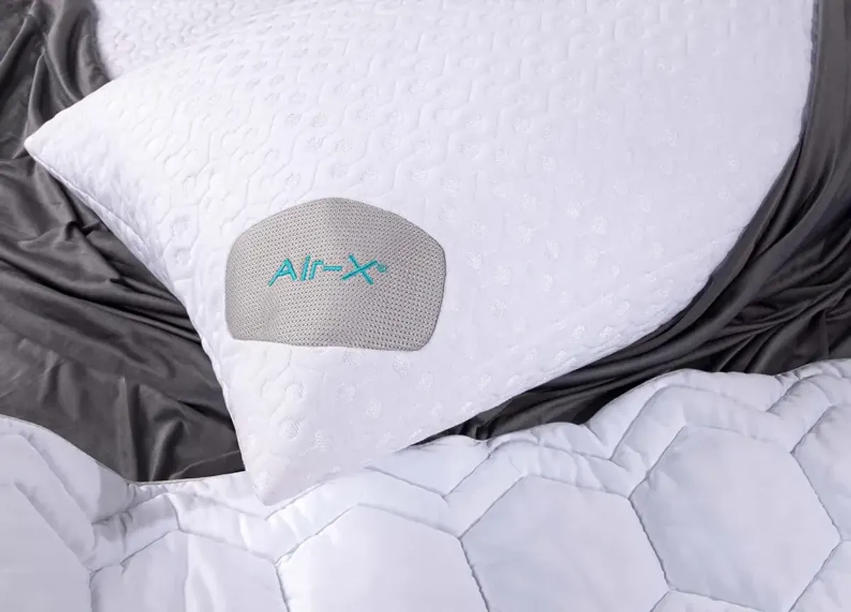 Dri-Tec Pillow Protector