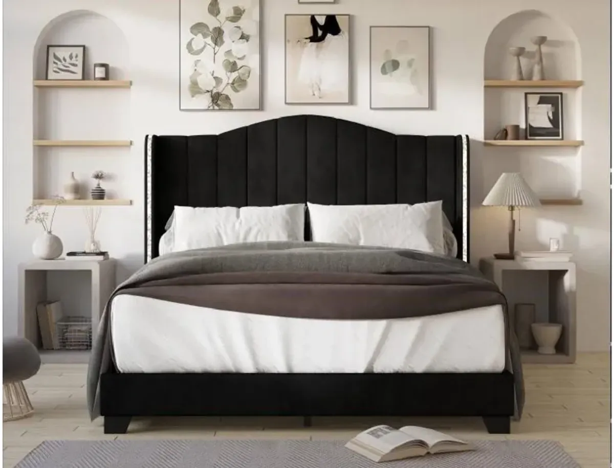 3 PIECE QUEEN BED