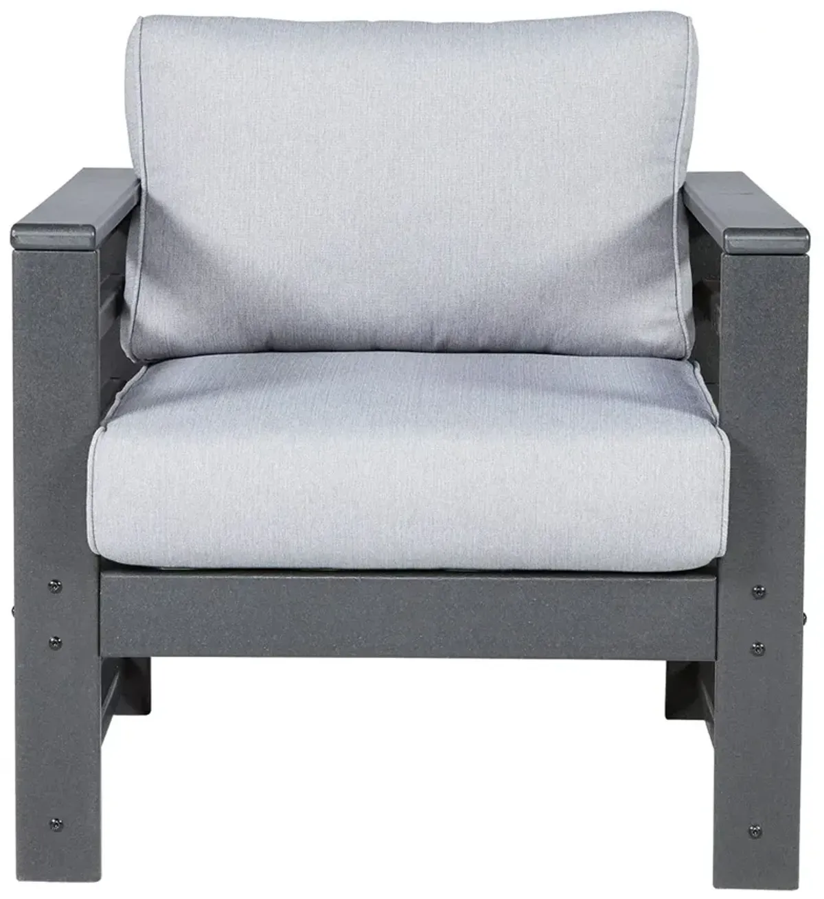 Amora - Charcoal Gray - Lounge Chair W/Cushion (Set of 2)