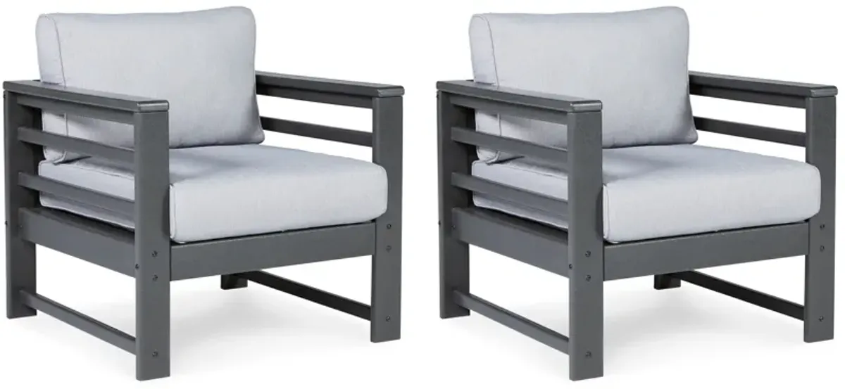 Amora - Charcoal Gray - Lounge Chair W/Cushion (Set of 2)