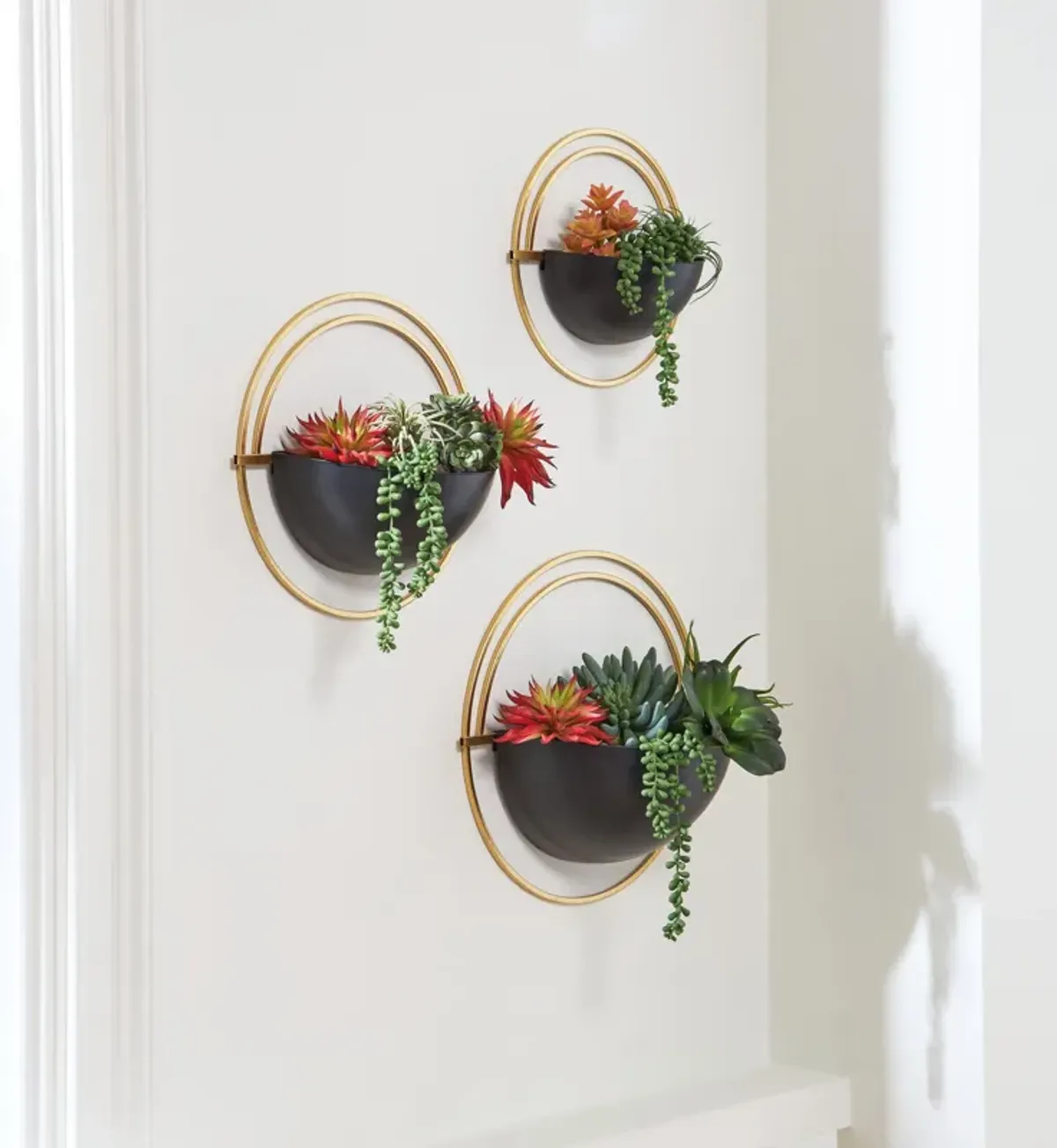 Tobins - Black / Gold Finish - Wall Planter Set (Set of 3)