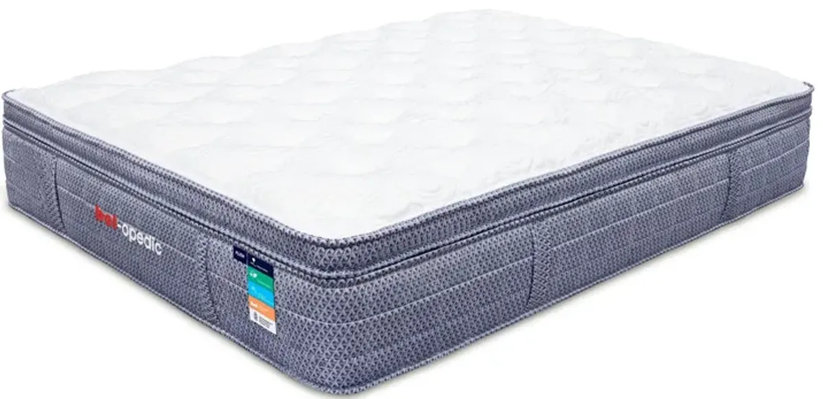 Darlene Box Top 14" Plush Pocket Coil Mattress