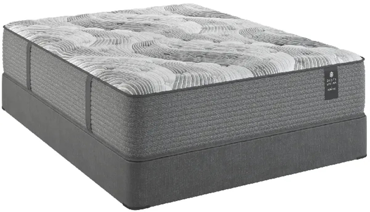 ANDERSON PLUSH MATTRESS