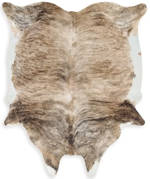 Sportsmen - Brown - Medium Rug