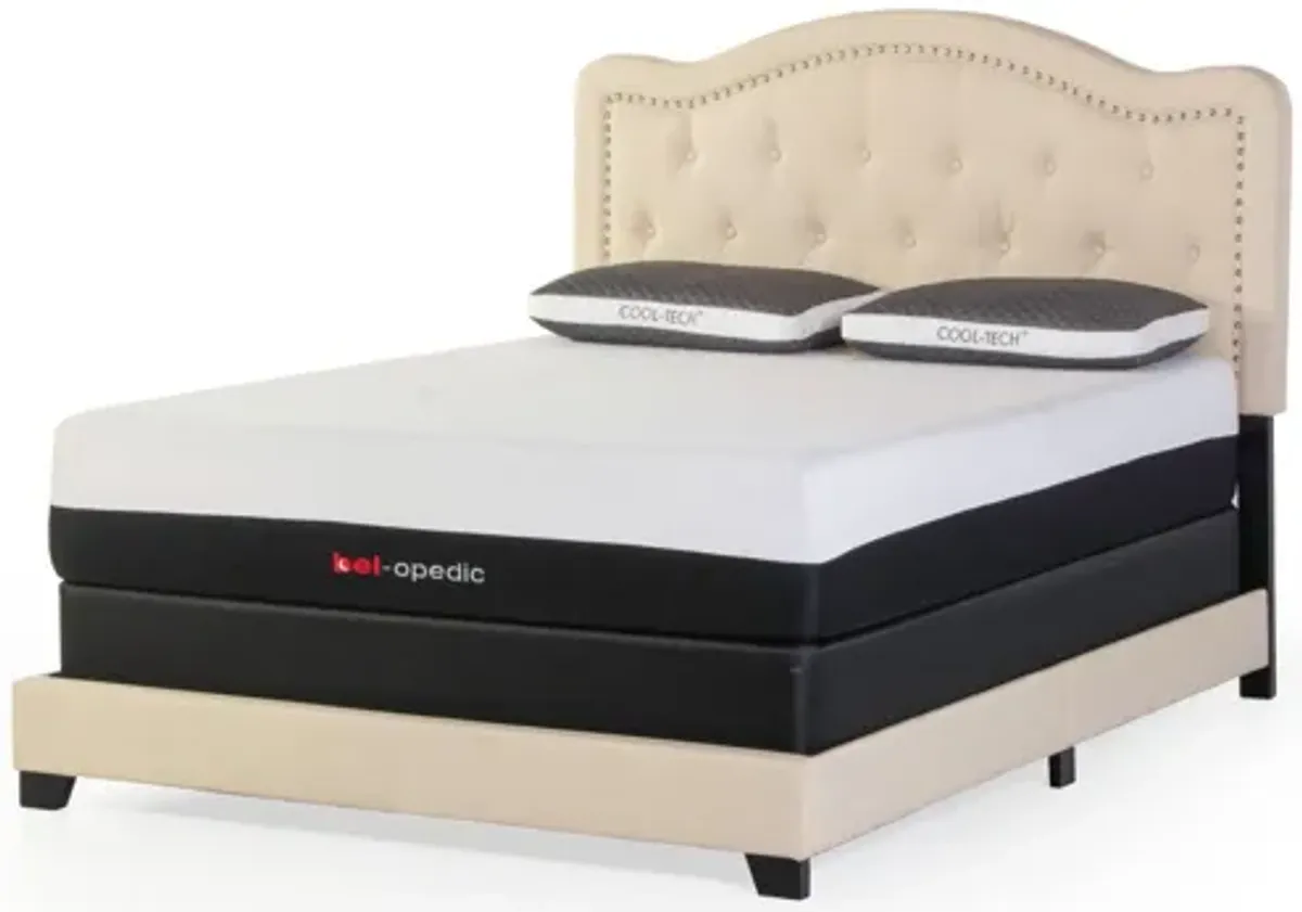 3 PIECE QUEEN BED