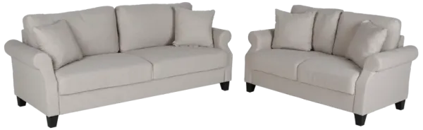 2 PIECE LIVING ROOM SET