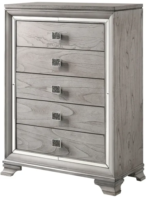 Vail - Chest - Gray