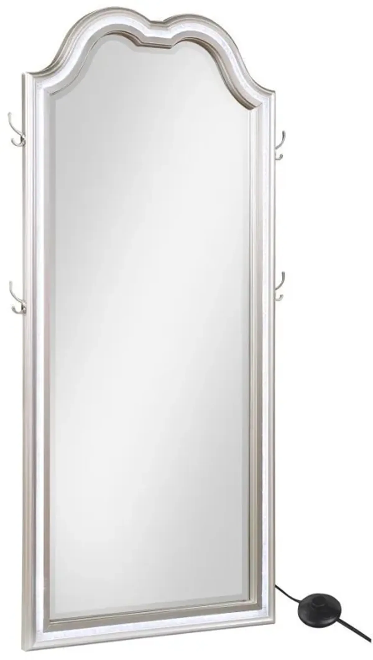 Evangeline - Full Length LED Light Floor Mirror - Silver Oak