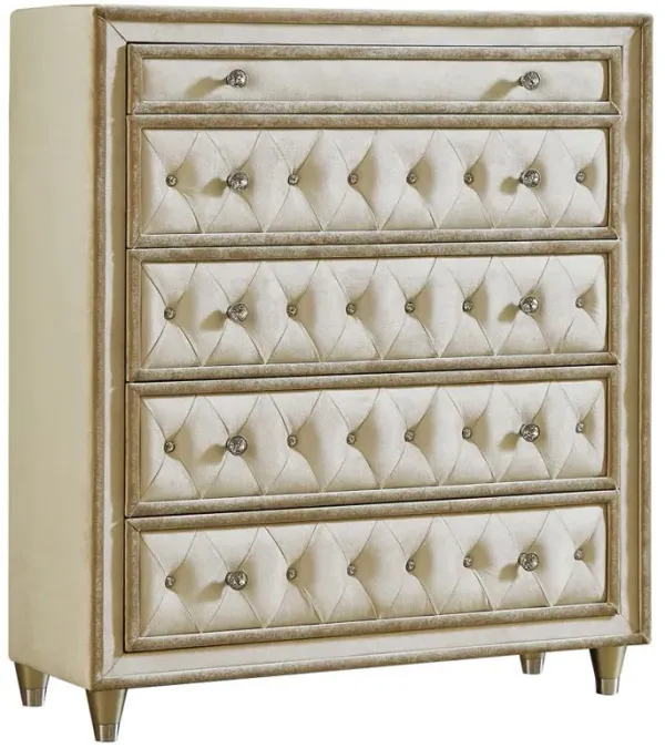 Antonella - 5-Drawer Upholstered Chest