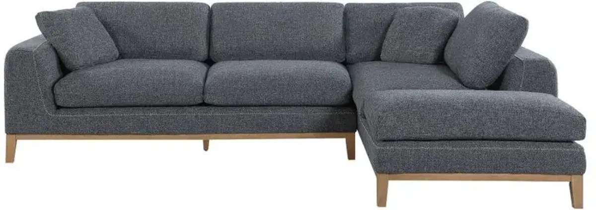 Persia - Upholstered Track Arm Sectional Sofa - Gray