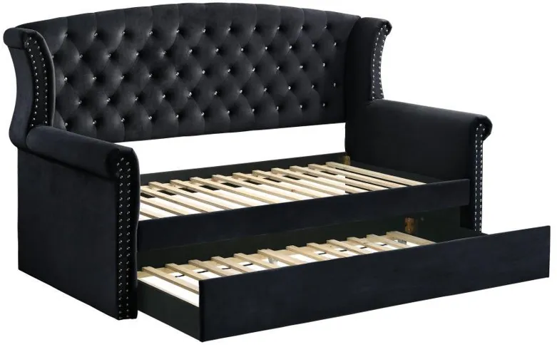 Scarlett - Daybed with Trundle