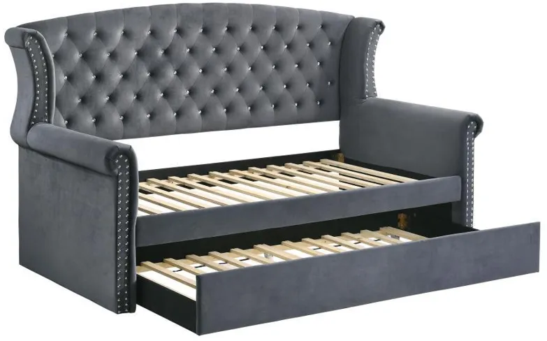 Scarlett - Daybed with Trundle