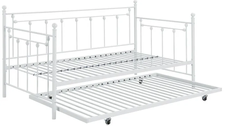 Nocus - Metal Day Bed With Trundle