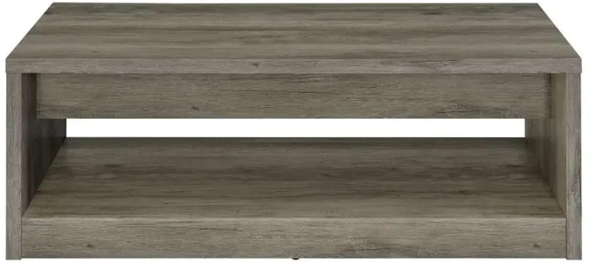 Felix - 2-Drawer Engineered Wood Coffee Table - Gray Driftwood