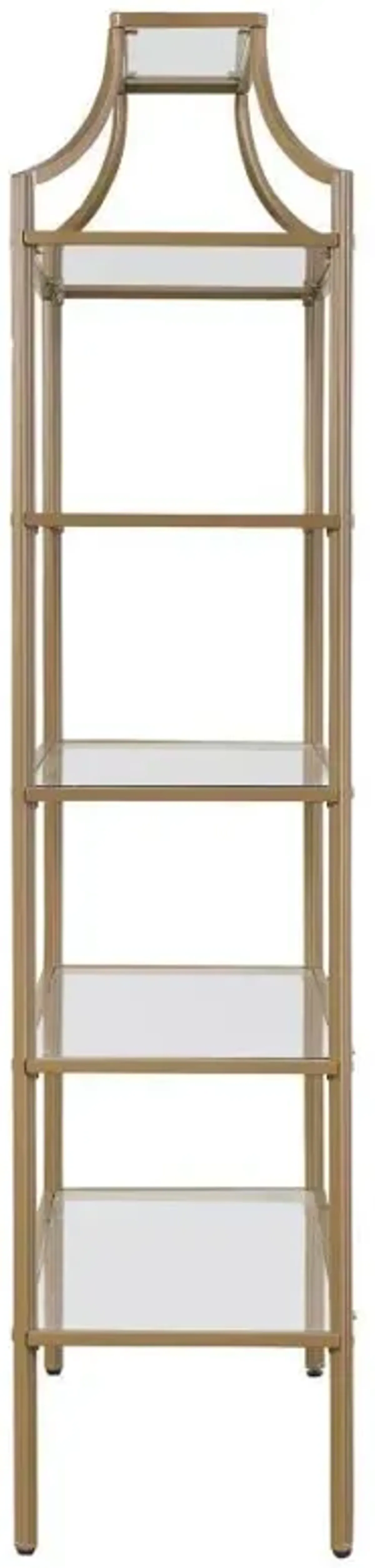 Serena - 5-Shelf Glass Bookshelf - Gold