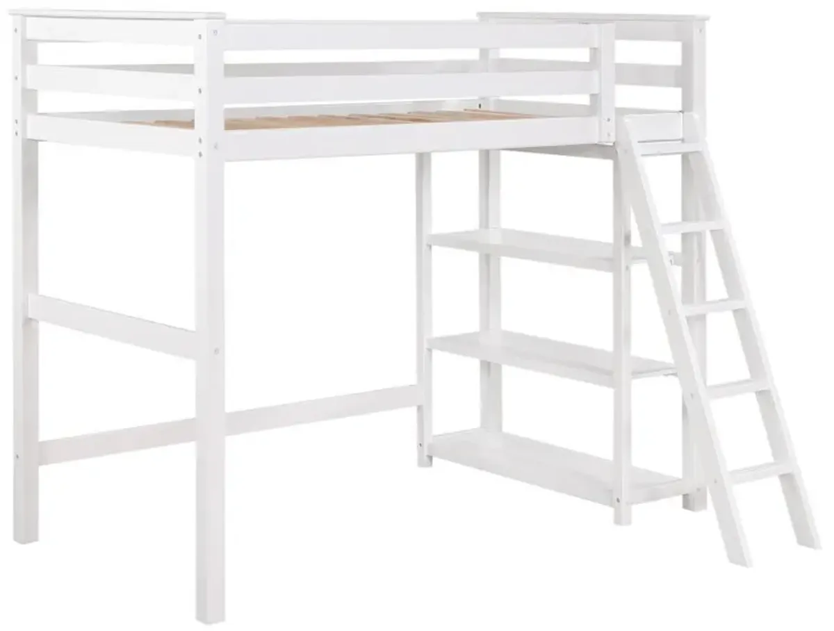 Anica - Workstation Loft Bed