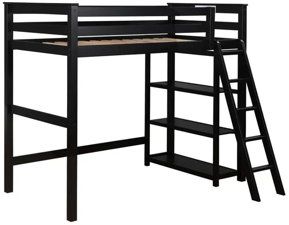 Anica - Workstation Loft Bed